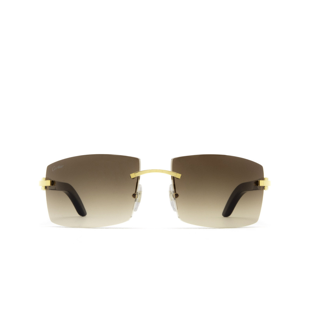 Cartier® Rectangle Sunglasses: CT0021RS color Gold 001 - front view.