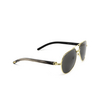 Cartier CT0272S Sunglasses 001 gold - product thumbnail 2/4