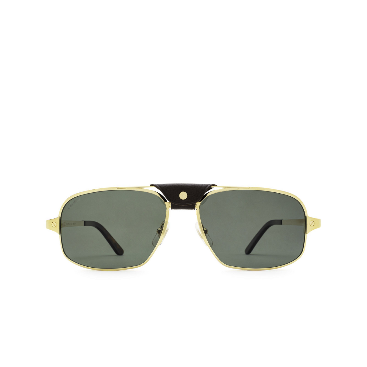 Cartier sunglasses - Mia Burton