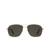 Cartier CT0306S Sunglasses 003 gold - product thumbnail 1/5