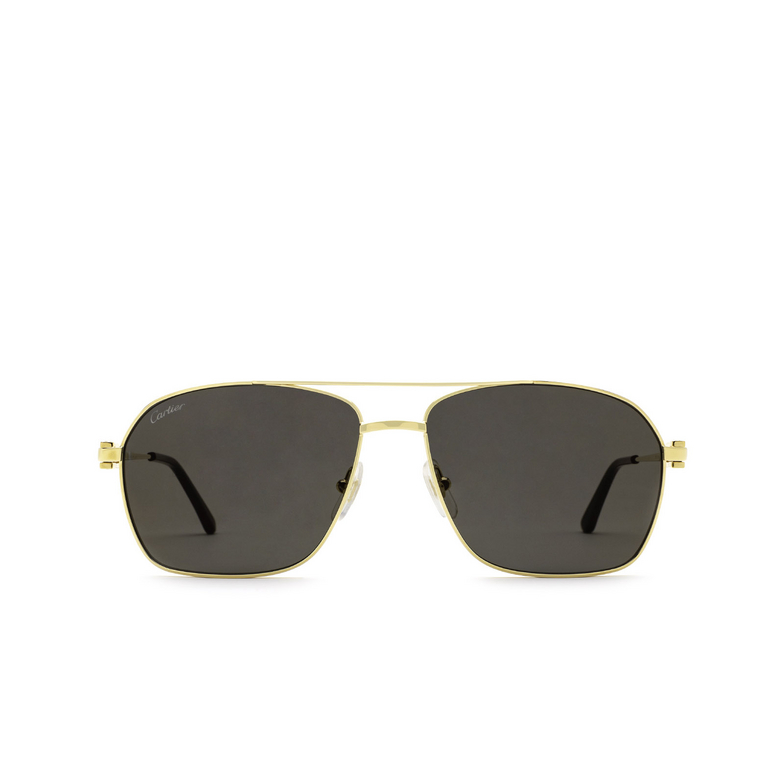 Cartier CT0306S Sunglasses 003 gold - 1/5