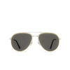 Cartier CT0325S Sunglasses 005 silver - product thumbnail 1/5