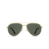 Cartier CT0325S Sunglasses 006 gold - product thumbnail 1/5
