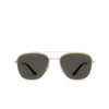 Cartier CT0326S Sunglasses 001 silver - product thumbnail 1/4