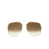 Cartier CT0329S Sunglasses 002 gold - product thumbnail 1/4