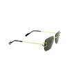 Cartier CT0330S Sunglasses 002 gold - product thumbnail 2/4