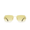 Cartier CT0330S Sunglasses 003 gold - product thumbnail 1/5