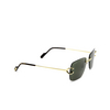 Cartier CT0330S Sunglasses 005 gold - product thumbnail 2/4