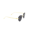 Cartier CT0331S Sunglasses 002 gold - product thumbnail 2/4
