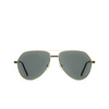 Cartier CT0334S Sunglasses 002 gold - product thumbnail 1/5
