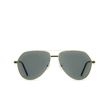 Cartier CT0334S Sunglasses 002 gold - front view