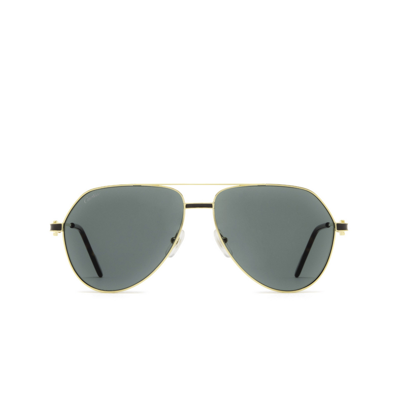 Cartier CT0334S Sunglasses 002 gold - 1/5
