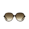 Cartier CT0350S Sunglasses 002 havana - product thumbnail 1/4
