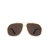 Cartier CT0353S Sunglasses 001 gold - product thumbnail 1/4