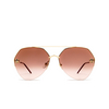 Cartier CT0355S Sunglasses 003 gold - product thumbnail 1/5