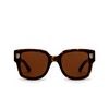 Cartier CT0357S Sunglasses 002 havana - product thumbnail 1/4