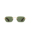 Cartier CT0362S Sunglasses 002 gold - product thumbnail 1/4