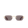 Cartier CT0362S Sunglasses 004 gold - product thumbnail 1/4