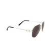 Cartier CT0364S Sunglasses 001 silver - product thumbnail 2/4