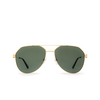 Cartier CT0364S Sunglasses 002 gold - product thumbnail 1/5