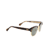 Cartier CT0366S Sunglasses 002 havana - product thumbnail 2/5