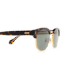 Cartier CT0366S Sunglasses 002 havana - product thumbnail 3/5