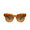 Chimi 07 (2021) Sunglasses HAVANA - product thumbnail 1/6