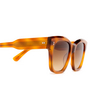 Gafas de sol Chimi 07 HAVANA - Miniatura del producto 3/5