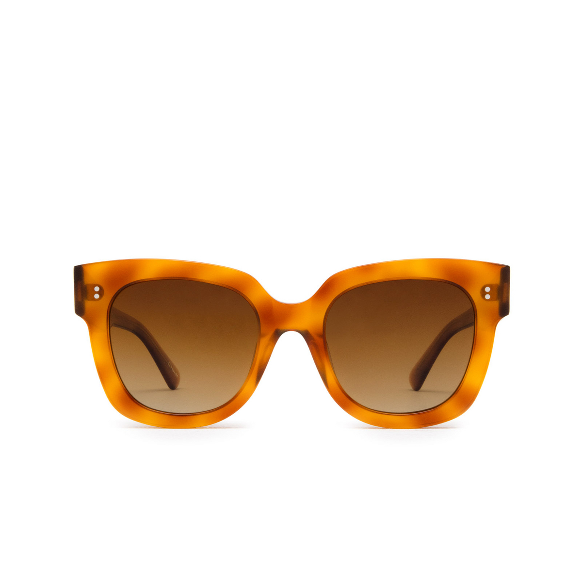 Chimi® Square Sunglasses: 08 color Havana - front view