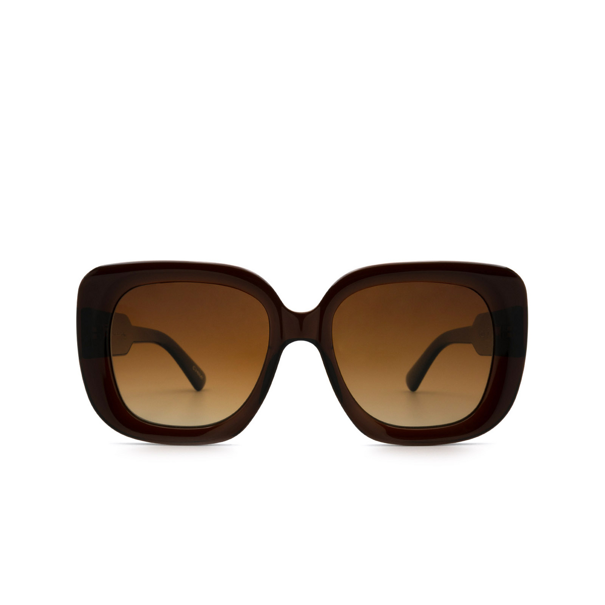 Chimi 10 (2021) Sunglasses BROWN - front view