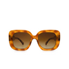 Chimi 10 (2021) Sunglasses HAVANA - product thumbnail 1/5