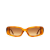 Chimi 10 Sunglasses HAVANA - product thumbnail 1/5