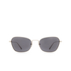 Chimi LYNX Sunglasses GREY - product thumbnail 1/5
