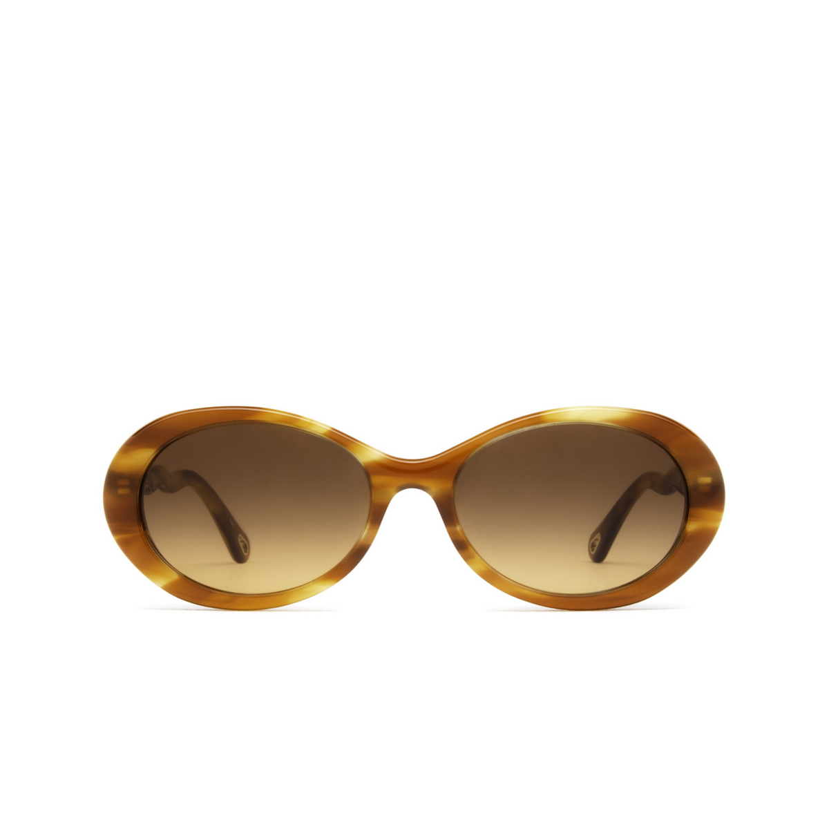 Chloé® Oval Sunglasses: Zelie Oval CH0088S color Havana 002 - front view.