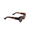 Gafas de sol Cubitts BOUDICA SUN BOU-R-DAR dark turtle - Miniatura del producto 2/4