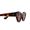Cubitts BOUDICA Sunglasses BOU-R-DAR dark turtle - product thumbnail 3/4