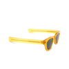 Gafas de sol Cubitts CRUIKSHANK SUN CRU-R-HON honey - Miniatura del producto 2/4