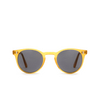 Cubitts HERBRAND Sunglasses HER-R-HON / GREY honey - product thumbnail 1/4