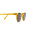 Gafas de sol Cubitts HERBRAND SUN HER-R-HON / GREY honey - Miniatura del producto 3/4