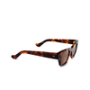 Cubitts ICENI Sunglasses ICE-R-DAR / BROWN dark turtle - product thumbnail 2/4