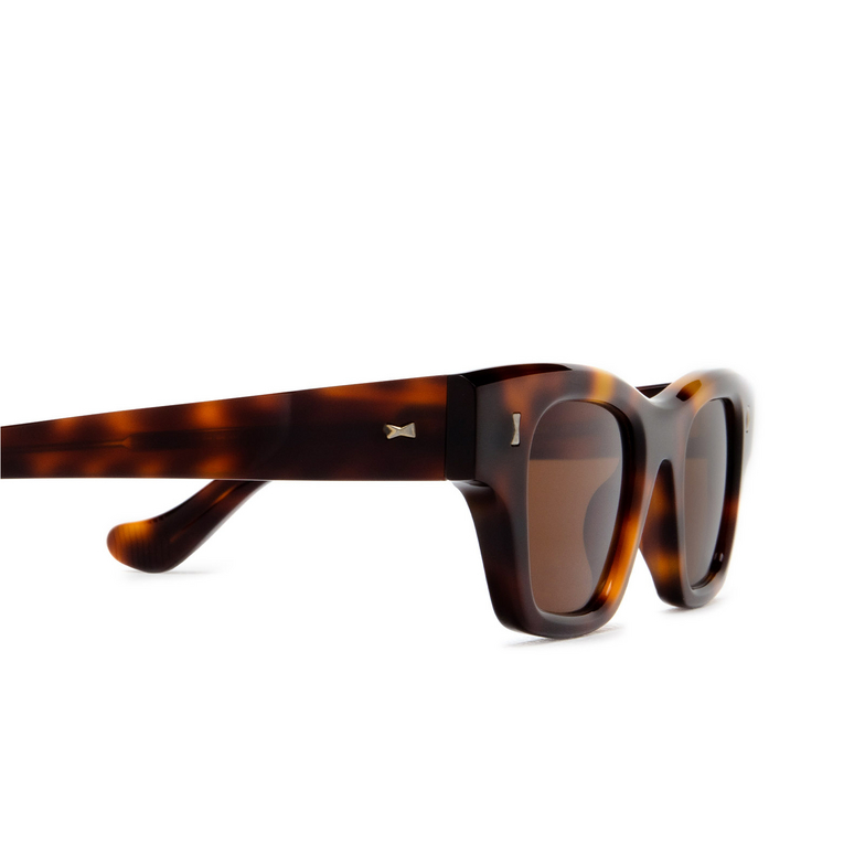 Cubitts ICENI Sunglasses ICE-R-DAR / BROWN dark turtle - 3/4