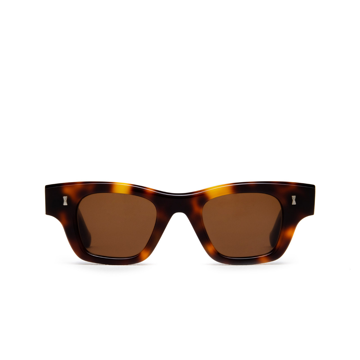 Cubitts ICENI Sunglasses ICE-R-DAR / BROWN Dark Turtle - front view