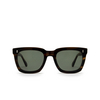 Cubitts JUDD Sunglasses JUD-R-OLI olive - product thumbnail 1/4
