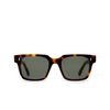 Cubitts PANTON Sunglasses PAN-R-DAR dark turtle - product thumbnail 1/4