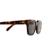 Cubitts PANTON Sunglasses PAN-R-DAR dark turtle - product thumbnail 3/4