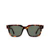 Cubitts PANTON Sunglasses PAN-R-KAL kaleidoscope - product thumbnail 1/4