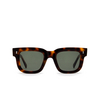 Gafas de sol Cubitts PLENDER SUN PLE-R-DAR dark turtle - Miniatura del producto 1/4
