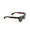 Cutler and Gross 1392 Sunglasses 02 dark turtle - product thumbnail 2/4