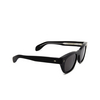Cutler and Gross 9772 Sunglasses 01 matt black - product thumbnail 2/4
