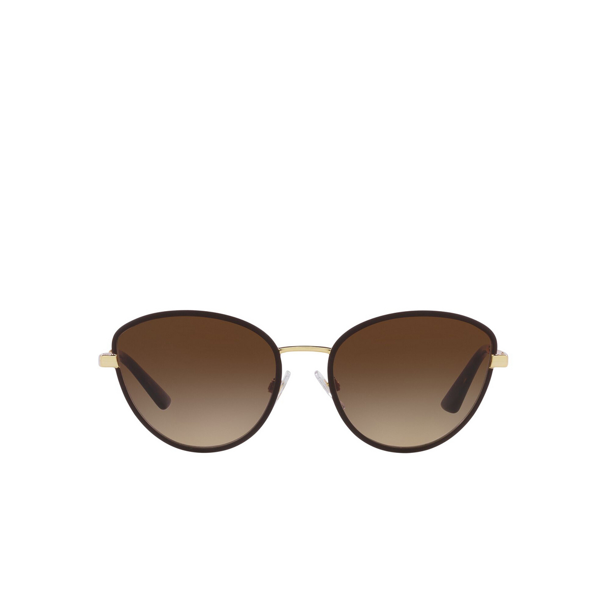 Dolce & Gabbana® Butterfly Sunglasses: DG2280 color Gold / Matte Brown 132013 - front view.